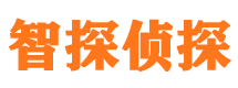 云岩市婚外情调查